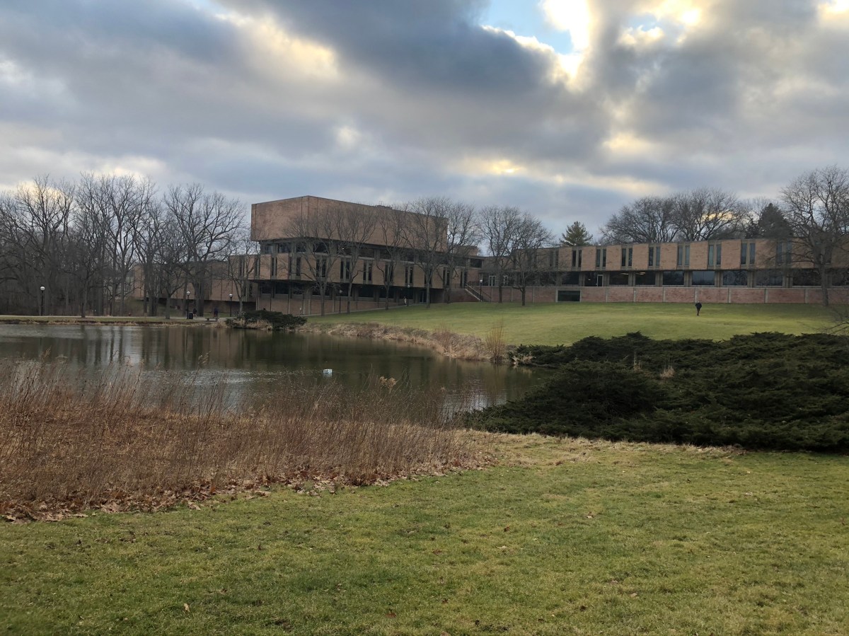 Pond Lawn Domain